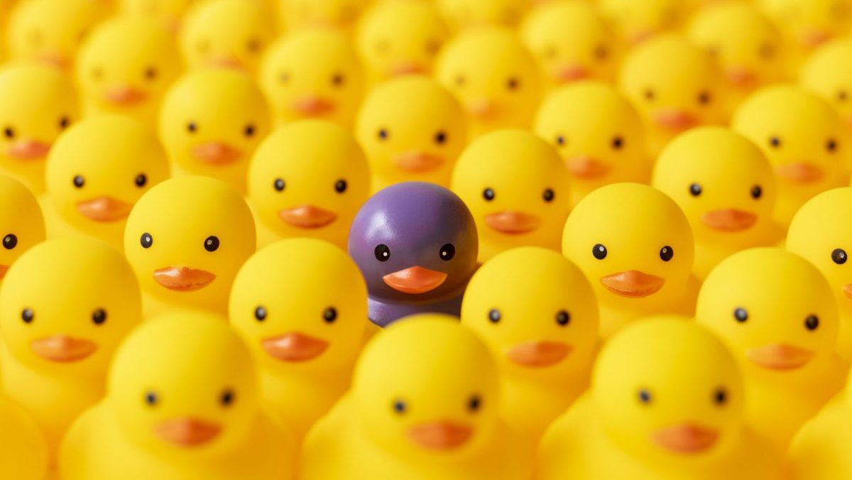 Purple plastic duck with yellow ones
